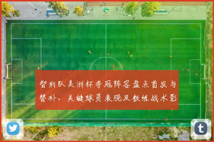 智利队美洲杯夺冠阵容盘点首发与替补、关键球员表现及教练战术影响