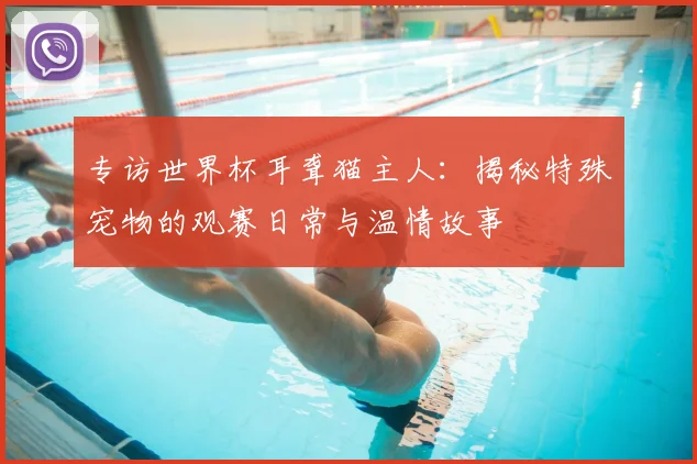 专访世界杯耳聋猫主人：揭秘特殊宠物的观赛日常与温情故事