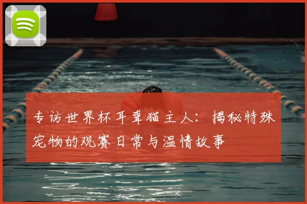 专访世界杯耳聋猫主人：揭秘特殊宠物的观赛日常与温情故事